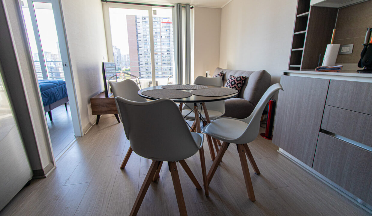 Depto_Nunoa_Stgo_3 (1)