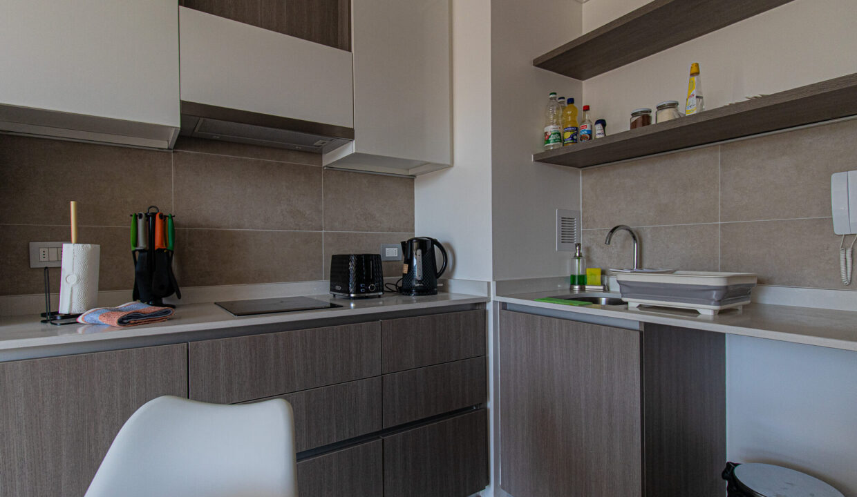 Depto_Nunoa_Stgo_3 (2)