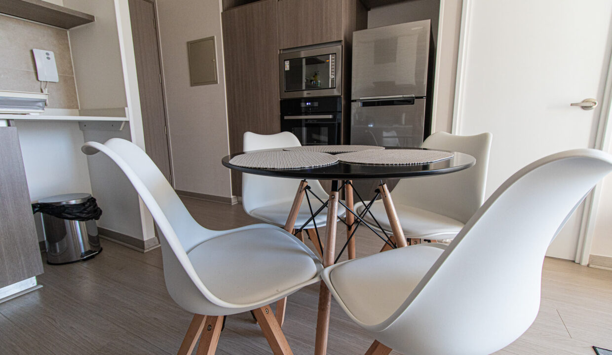 Depto_Nunoa_Stgo_3 (3)