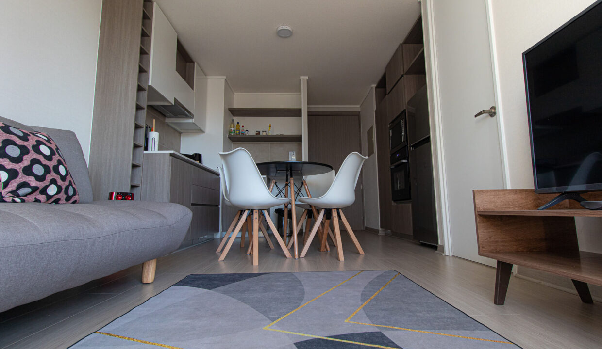 Depto_Nunoa_Stgo_3 (6)