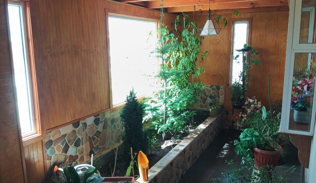 WhatsApp Image 2025-11-18 at 19.54.17