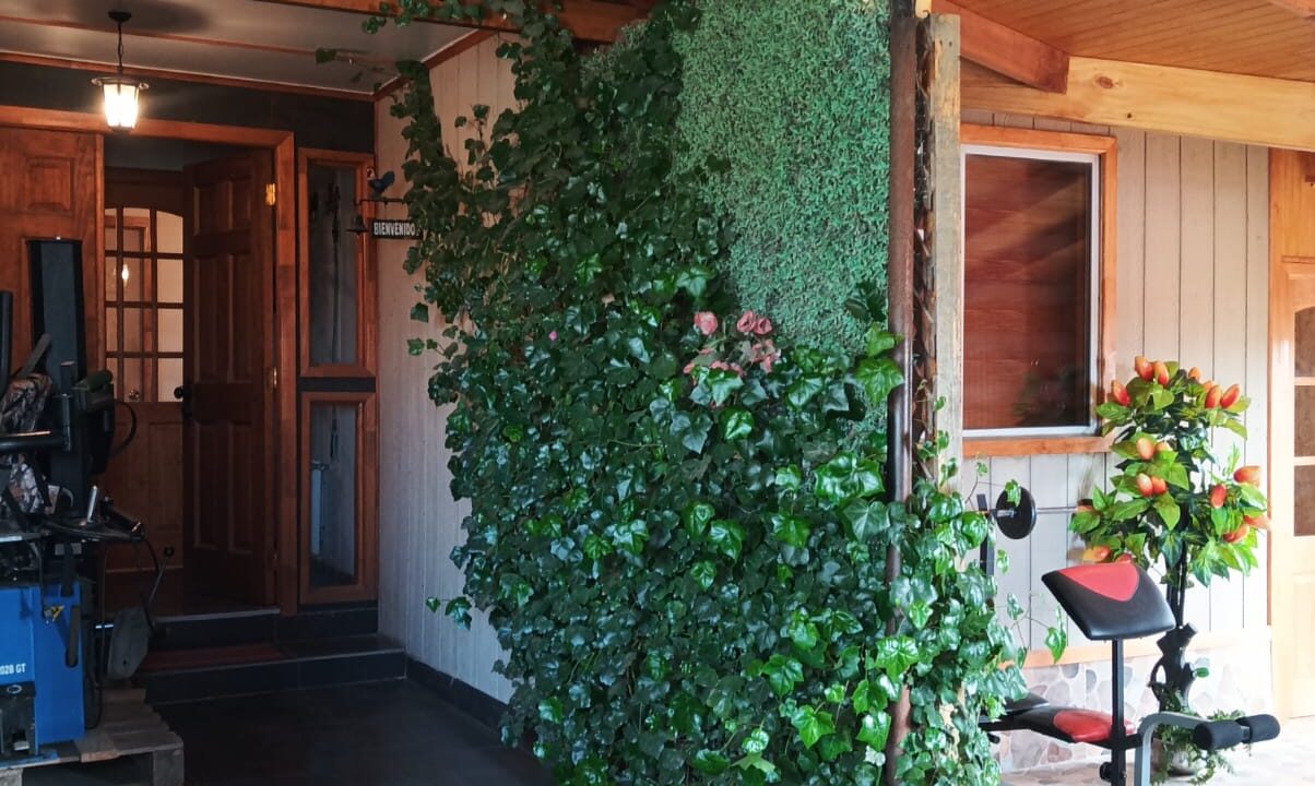 WhatsApp Image 2025-11-18 at 19.54.27