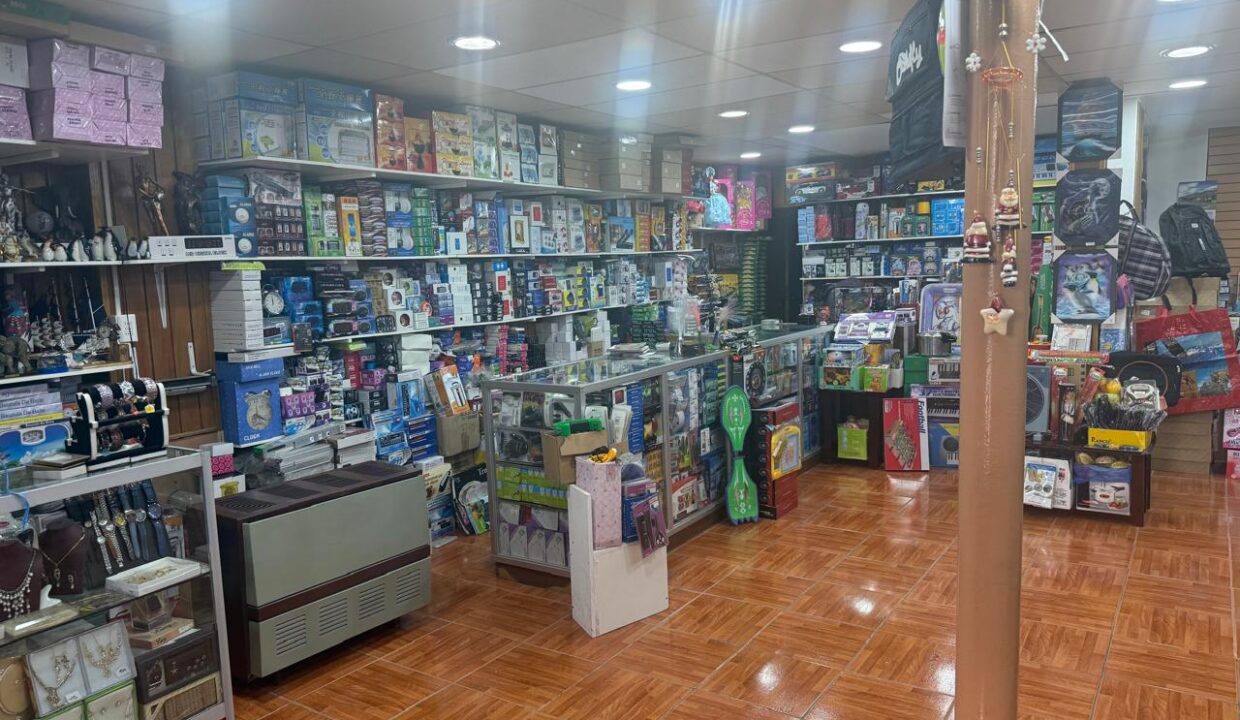 WhatsApp Image 2026-02-13 at 11.13.55