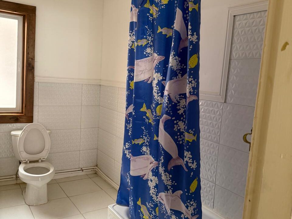 WhatsApp Image 2026-02-13 at 11.14.0032