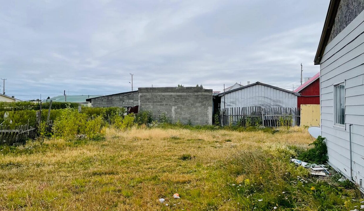 WhatsApp Image 2026-02-13 at 16.50.04 (1)