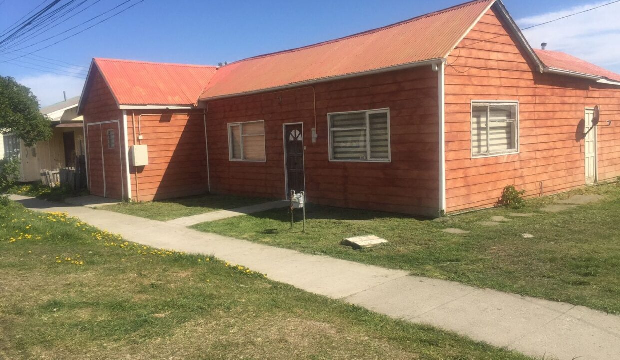 WhatsApp Image 2026-02-13 at 16.50.05