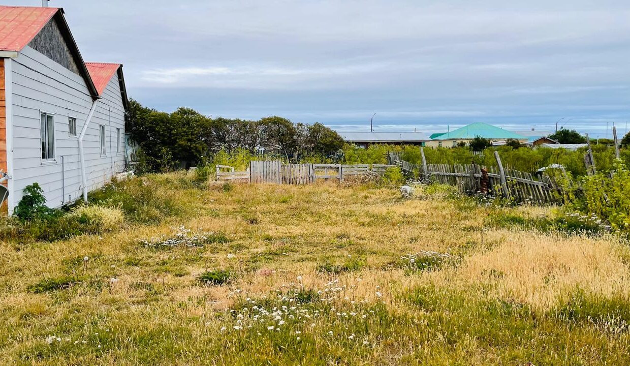 WhatsApp Image 2026-02-13 at 16.50.05 (3)