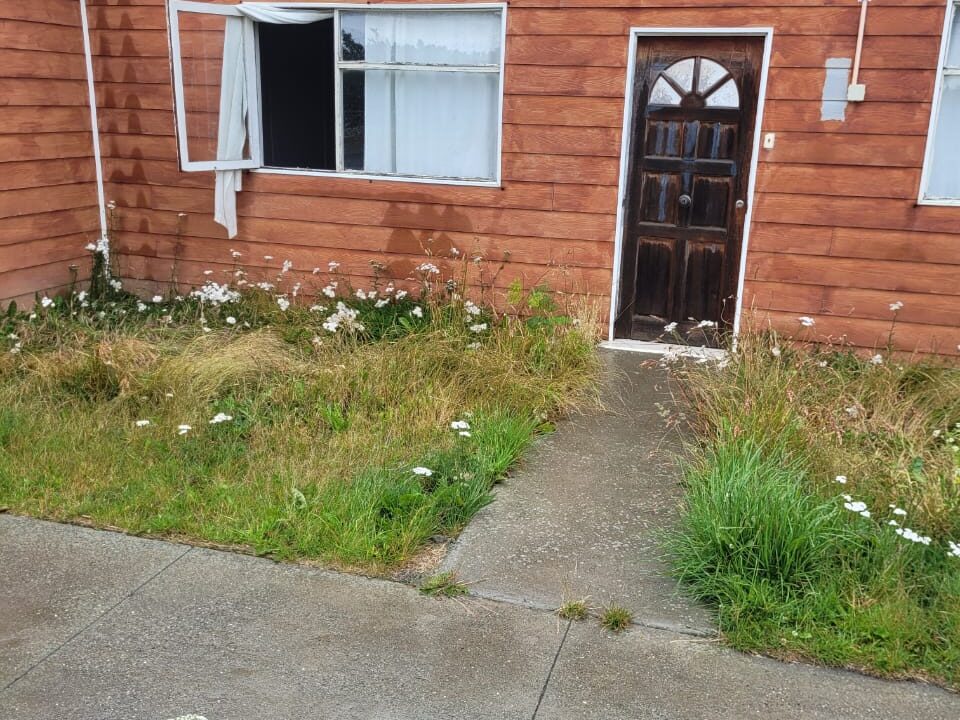 WhatsApp Image 2026-02-13 at 16.50.06 (1)