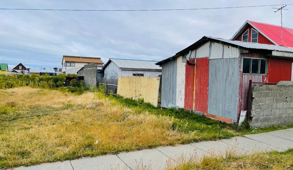 WhatsApp Image 2026-02-13 at 16.50.08 (2)