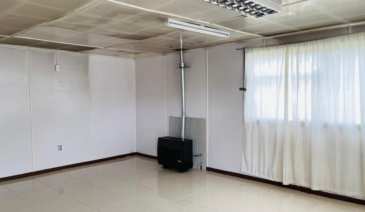 WhatsApp Image 2026-02-13 at 16.50.09