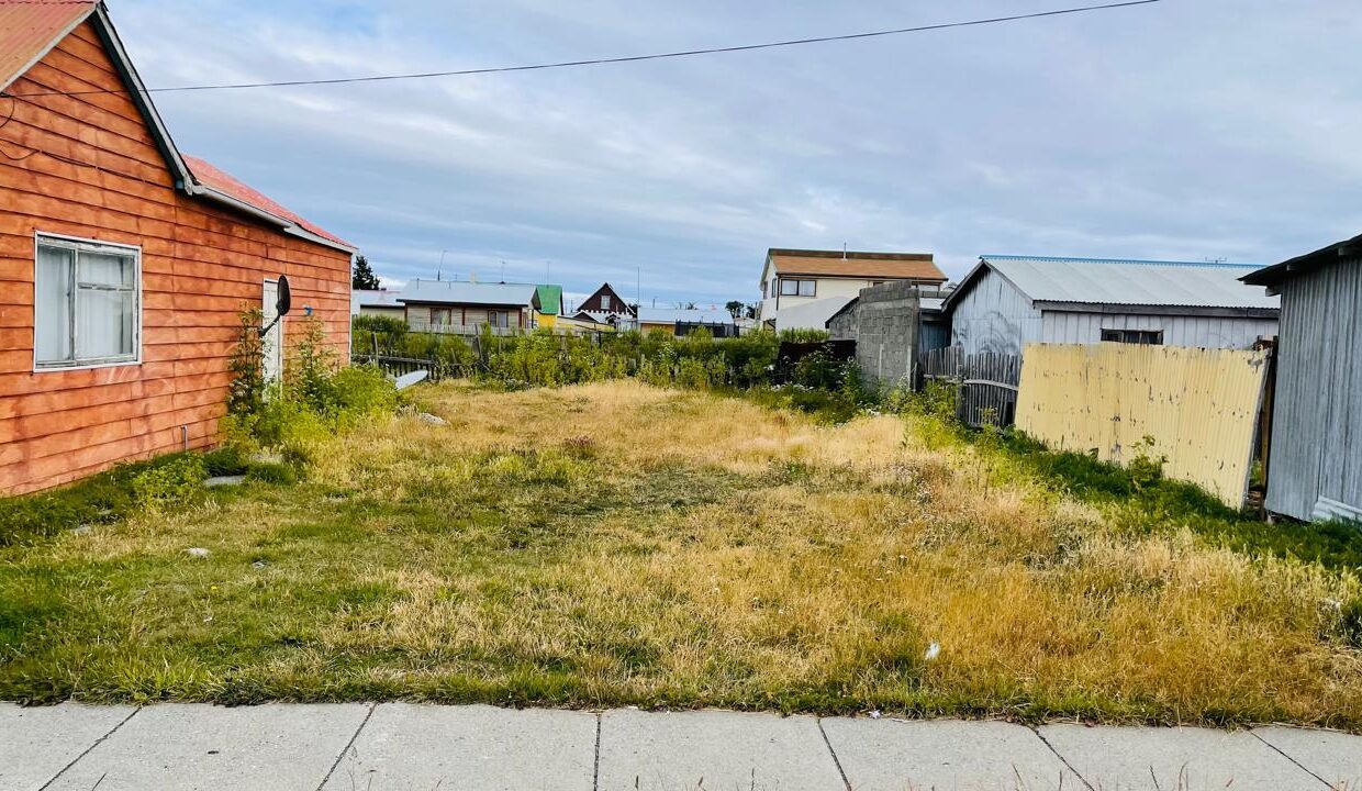 WhatsApp Image 2026-02-13 at 16.50.09 (3)