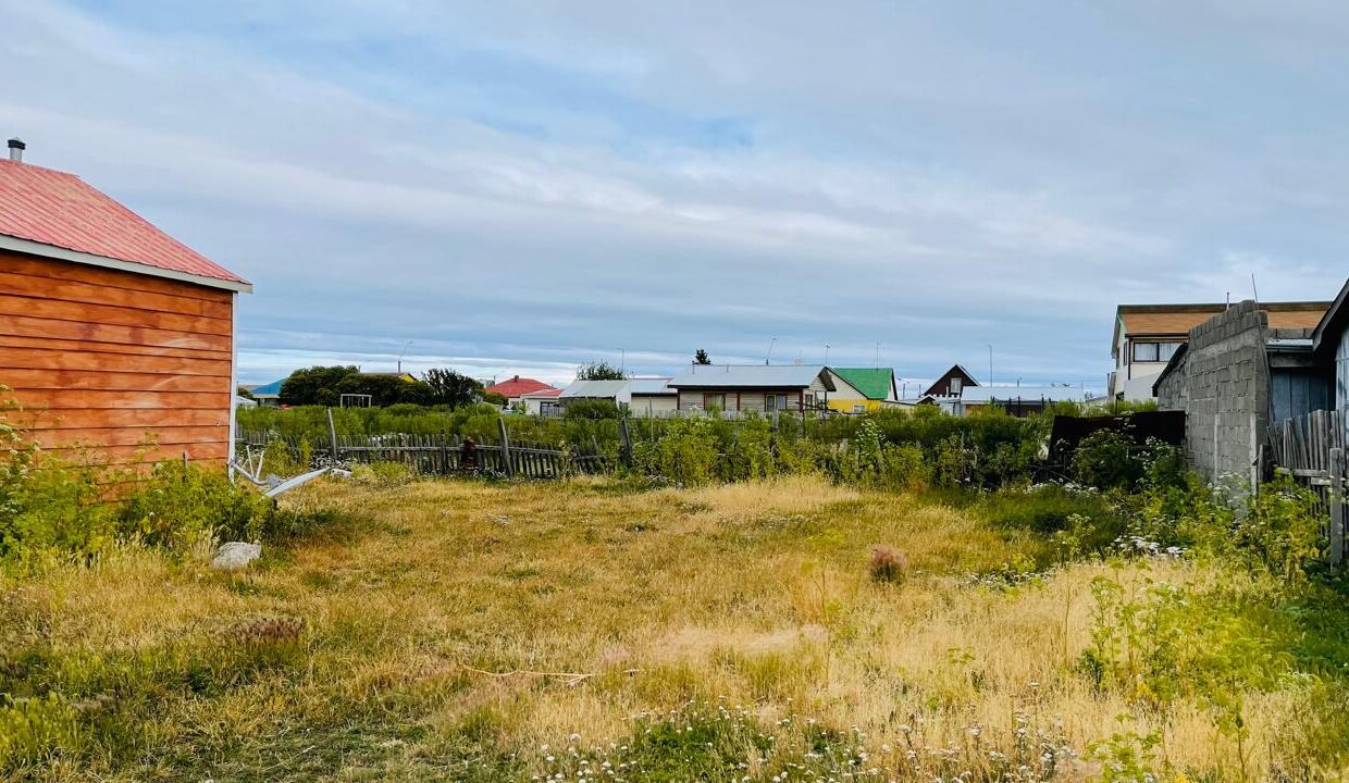 WhatsApp Image 2026-02-13 at 16.50.10