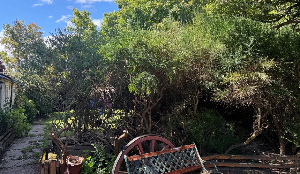 WhatsApp Image 2026-02-17 at 17.35.38 (4)