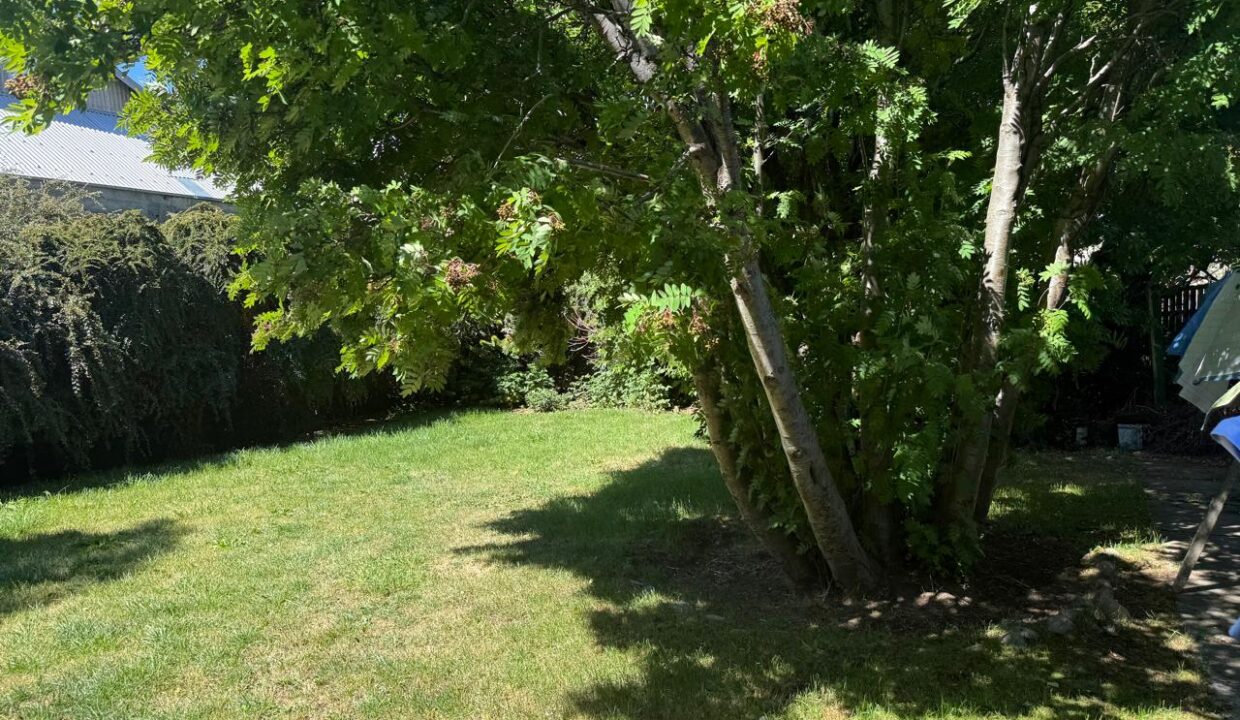 WhatsApp Image 2026-02-17 at 17.35.40