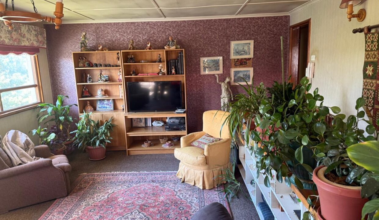 WhatsApp Image 2026-02-17 at 17.35.40 (3)