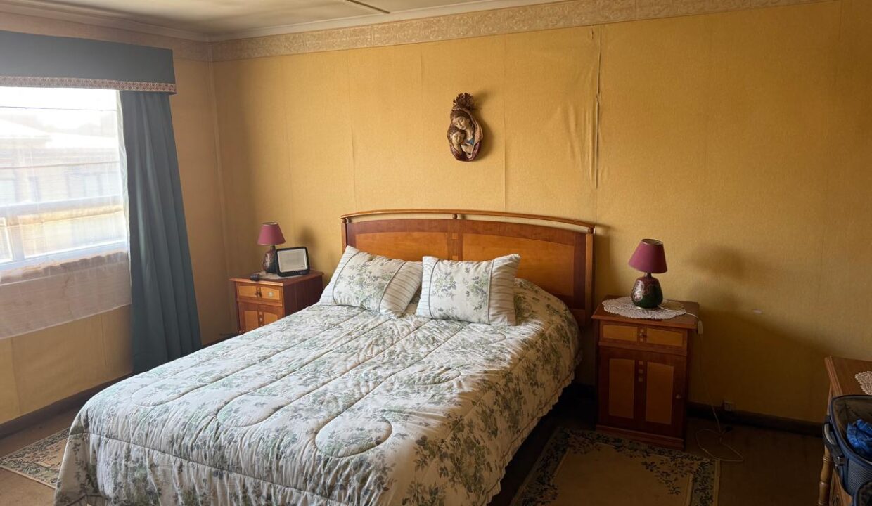 WhatsApp Image 2026-02-17 at 17.35.41 (1)