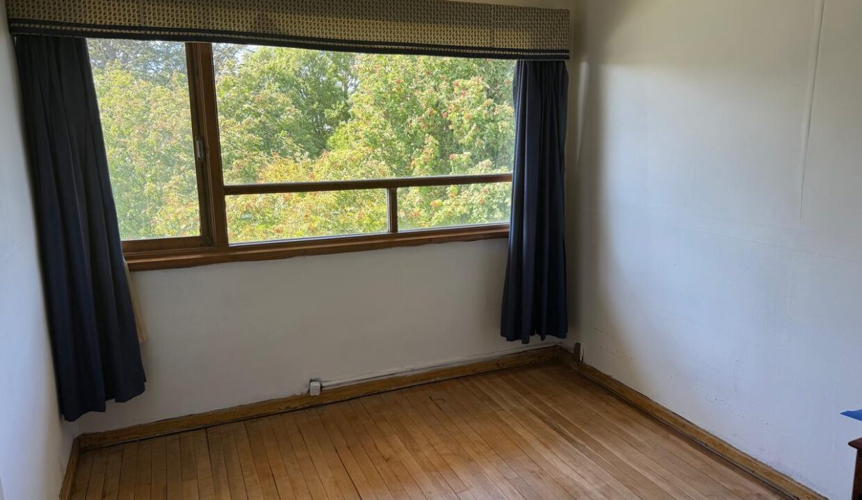 WhatsApp Image 2026-02-17 at 17.35.41 (3)