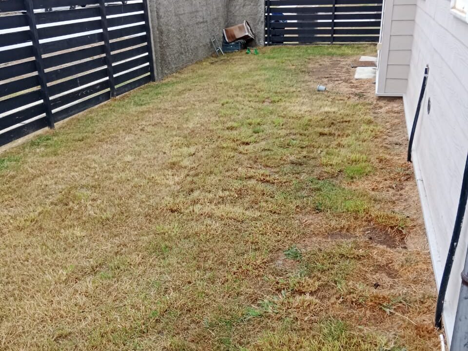 WhatsApp Image 2026-03-04 at 08.41.56