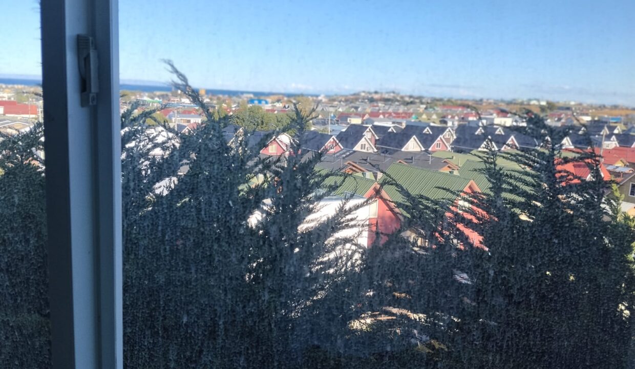 WhatsApp Image 2026-03-17 at 17.07.45