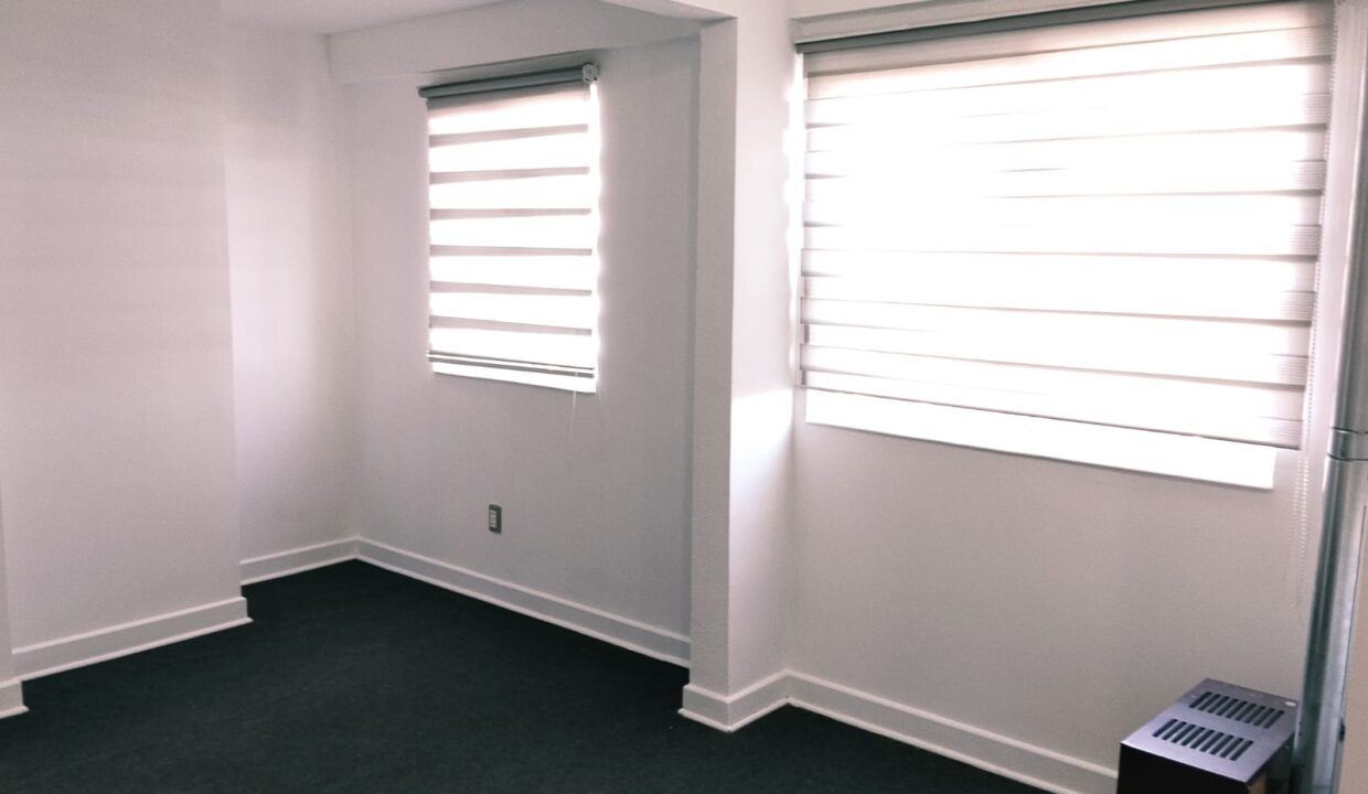 WhatsApp Image 2026-03-17 at 17.07.46 (1)